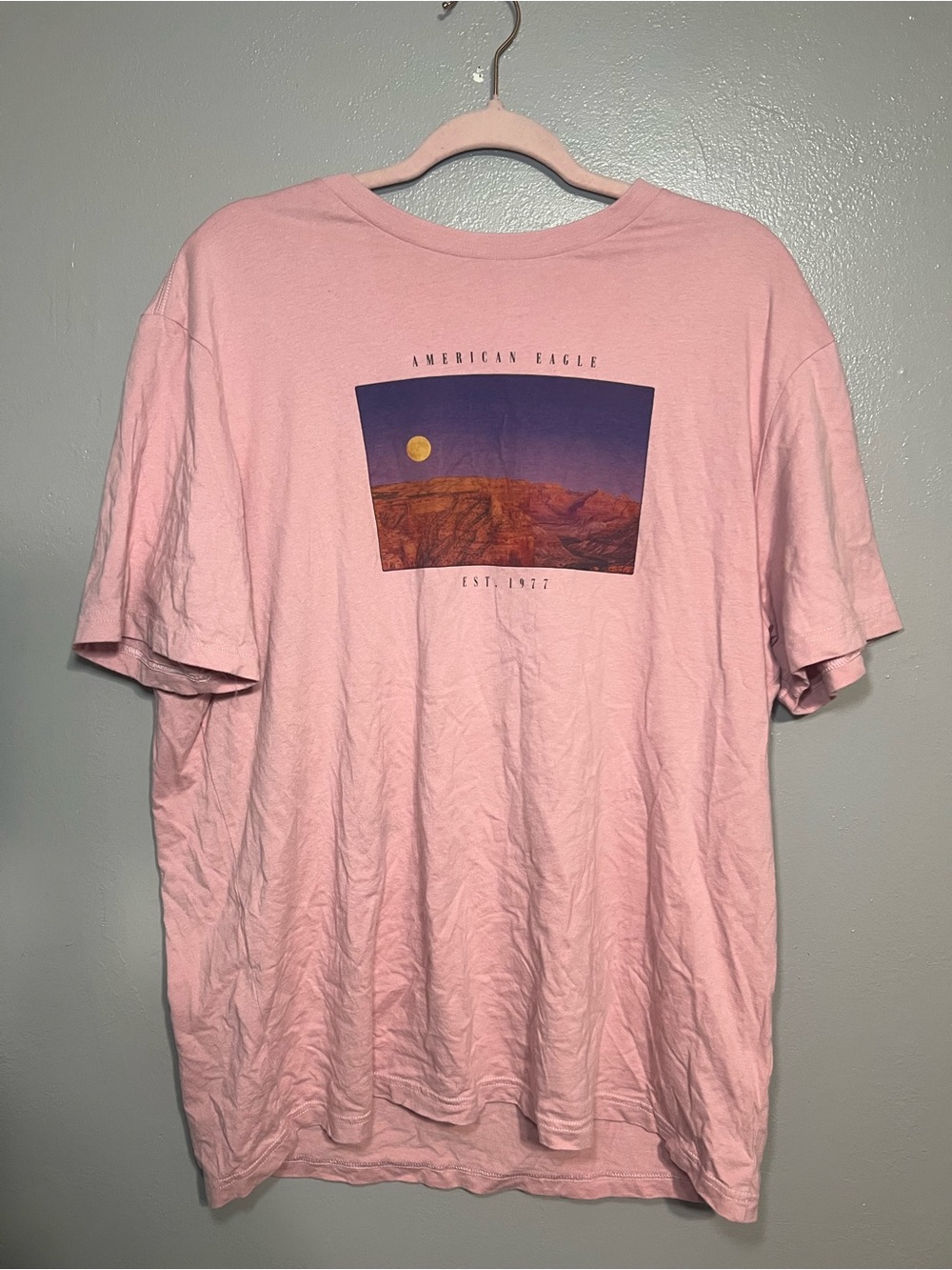 American Eagle Mens Short Sleeve Super Soft Tee Shirt Large Graphic Pink Blush